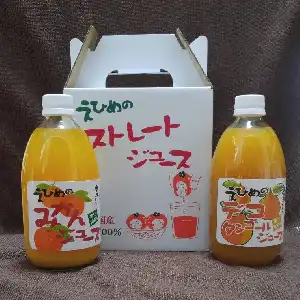 【さぶ】清見ジュース１２本×２箱　【２箱括りでの発送】 fit=scale-down,w=1200